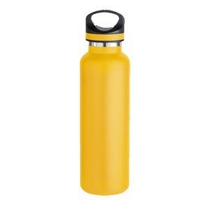 20 oz. Basecamp Tundra Bottle with Screw Top Lid - Austin Print Co