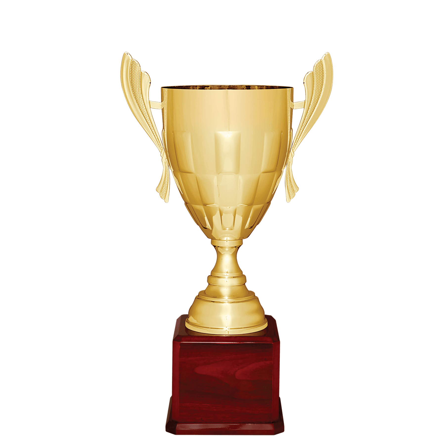 Checkered Metal Cup Trophy on Royal Piano Finish Base - JDS