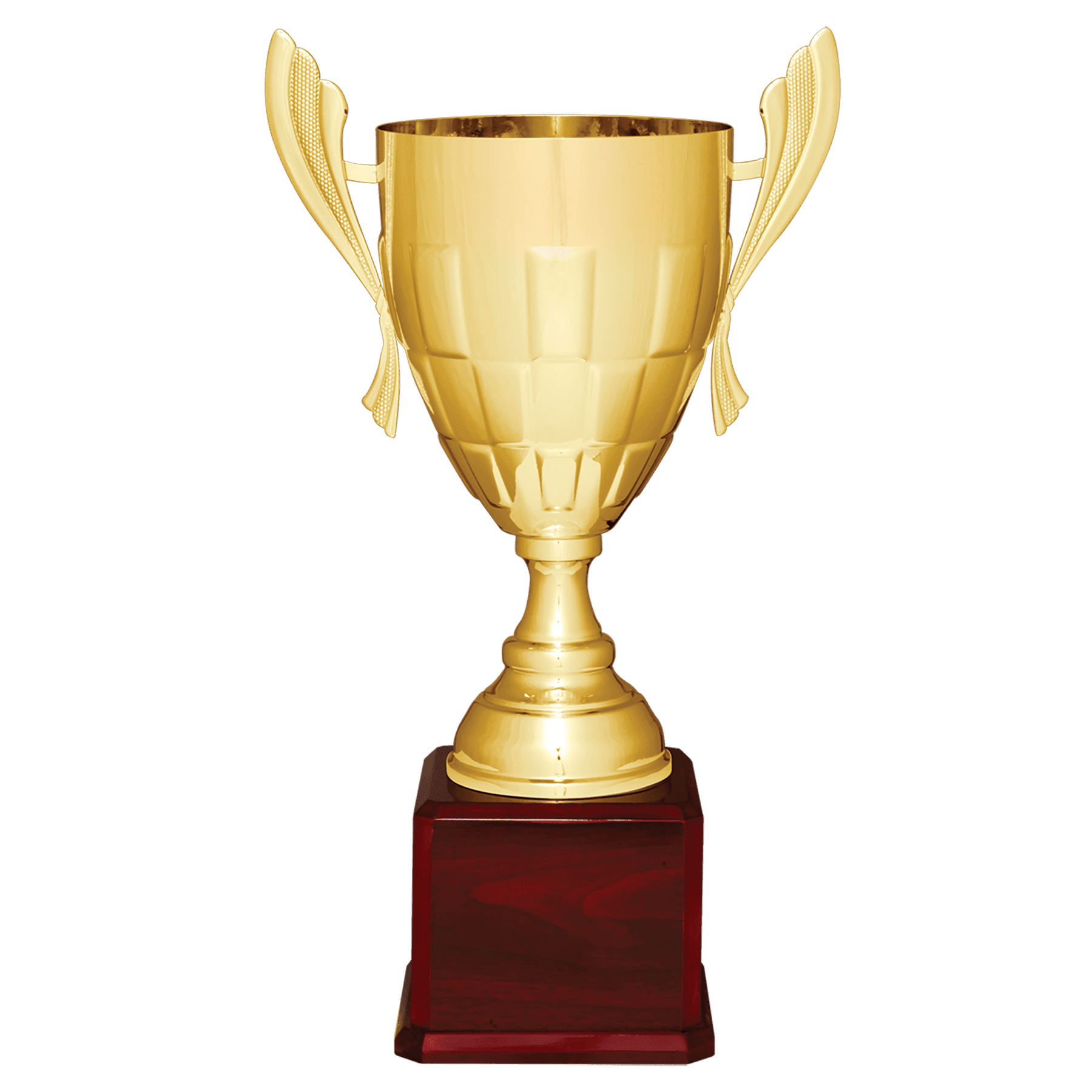 Checkered Metal Cup Trophy on Royal Piano Finish Base - JDS