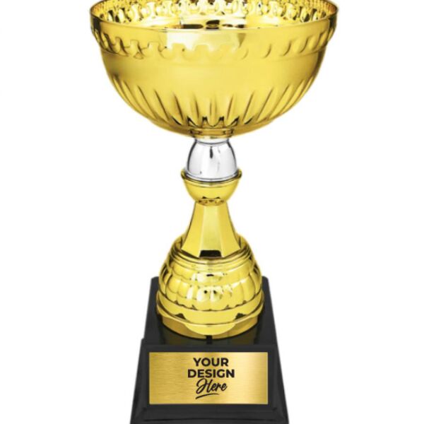 Custom Engraved Gold/Silver Metal Trophy Cup 10.25" - Austin Print Co.