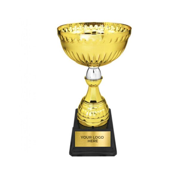 Custom Engraved Gold/Silver Metal Trophy Cup 10.25" - Austin Print Co.