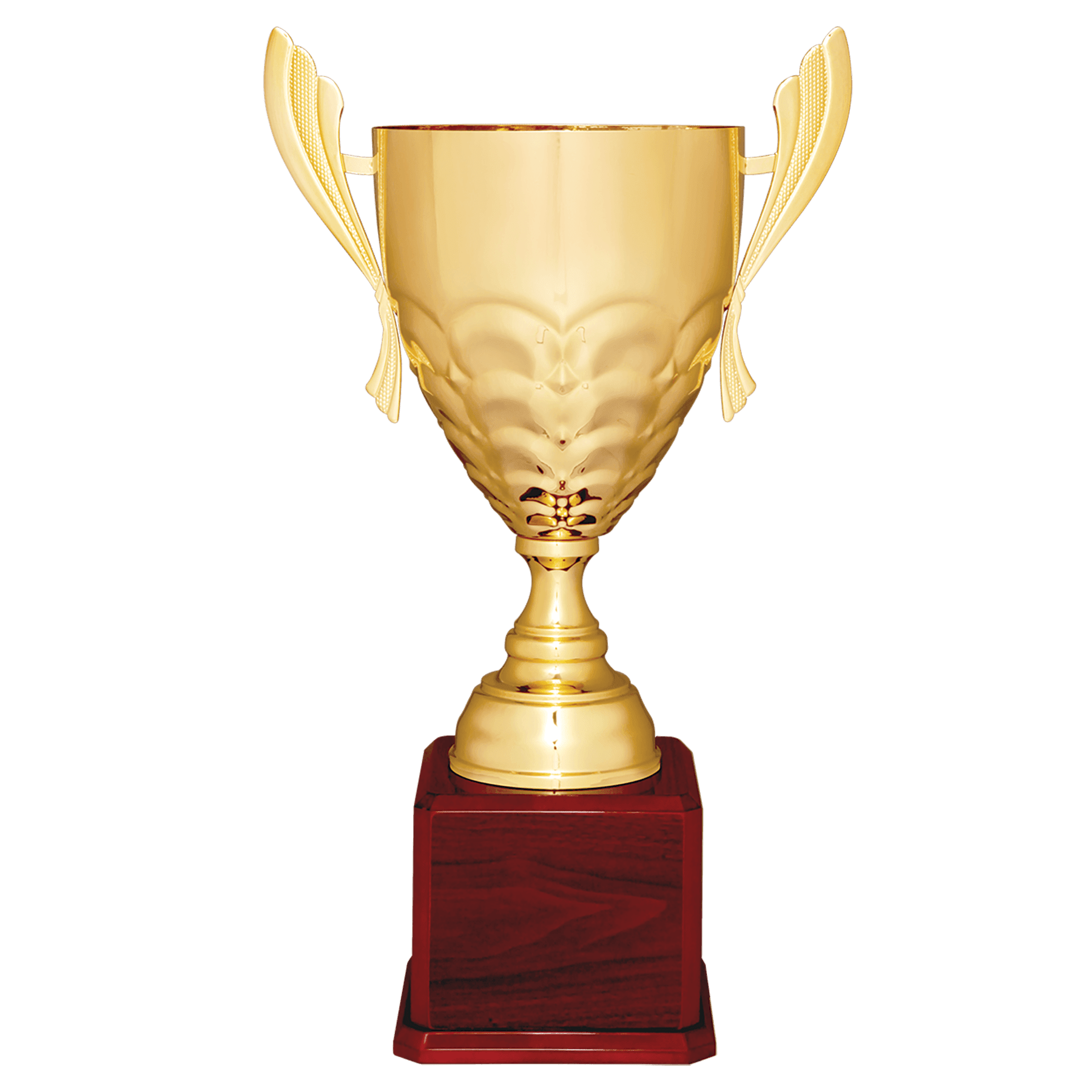 Scalloped Metal Cup Trophy on Royal Piano Finish Base - JDS