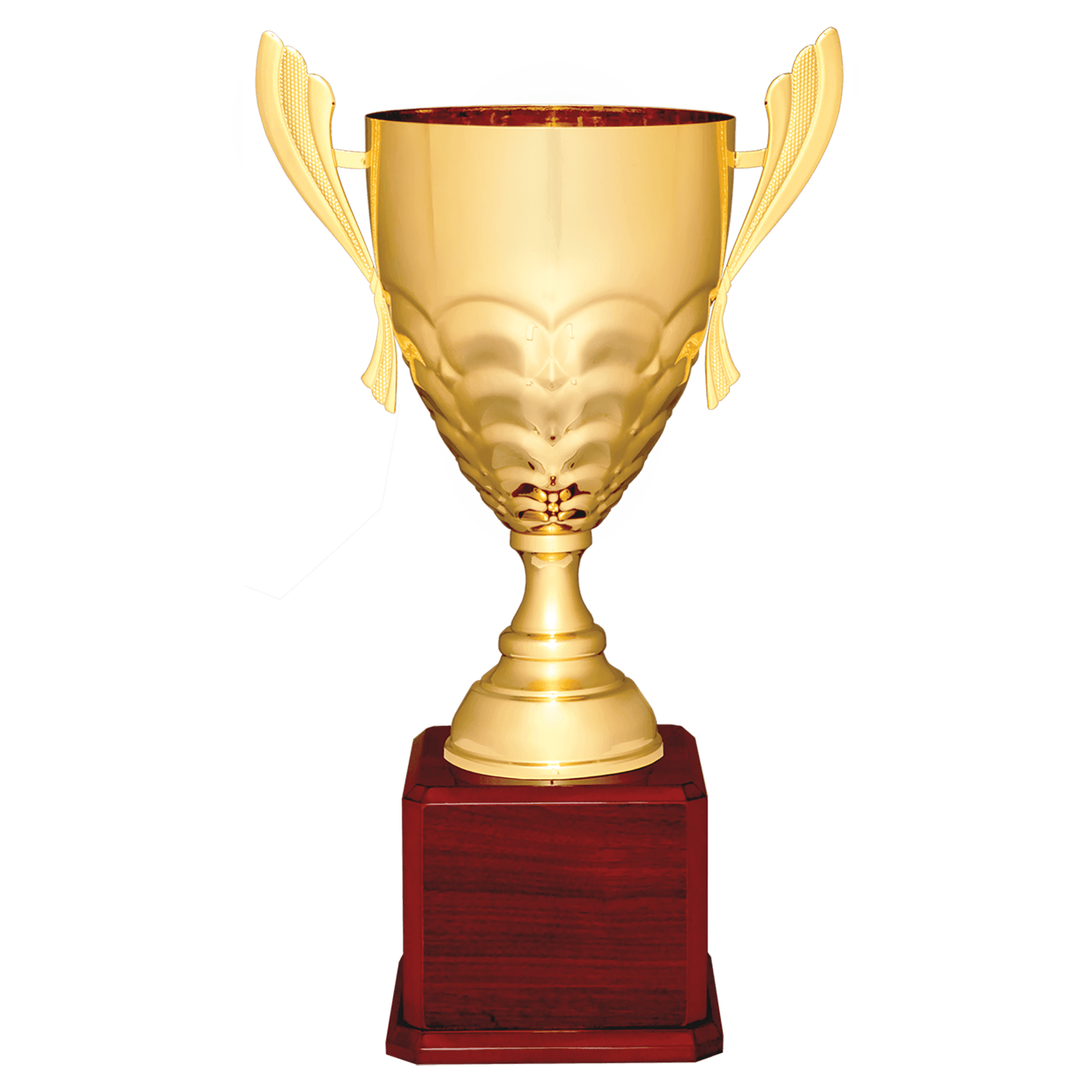 Scalloped Metal Cup Trophy on Royal Piano Finish Base - JDS