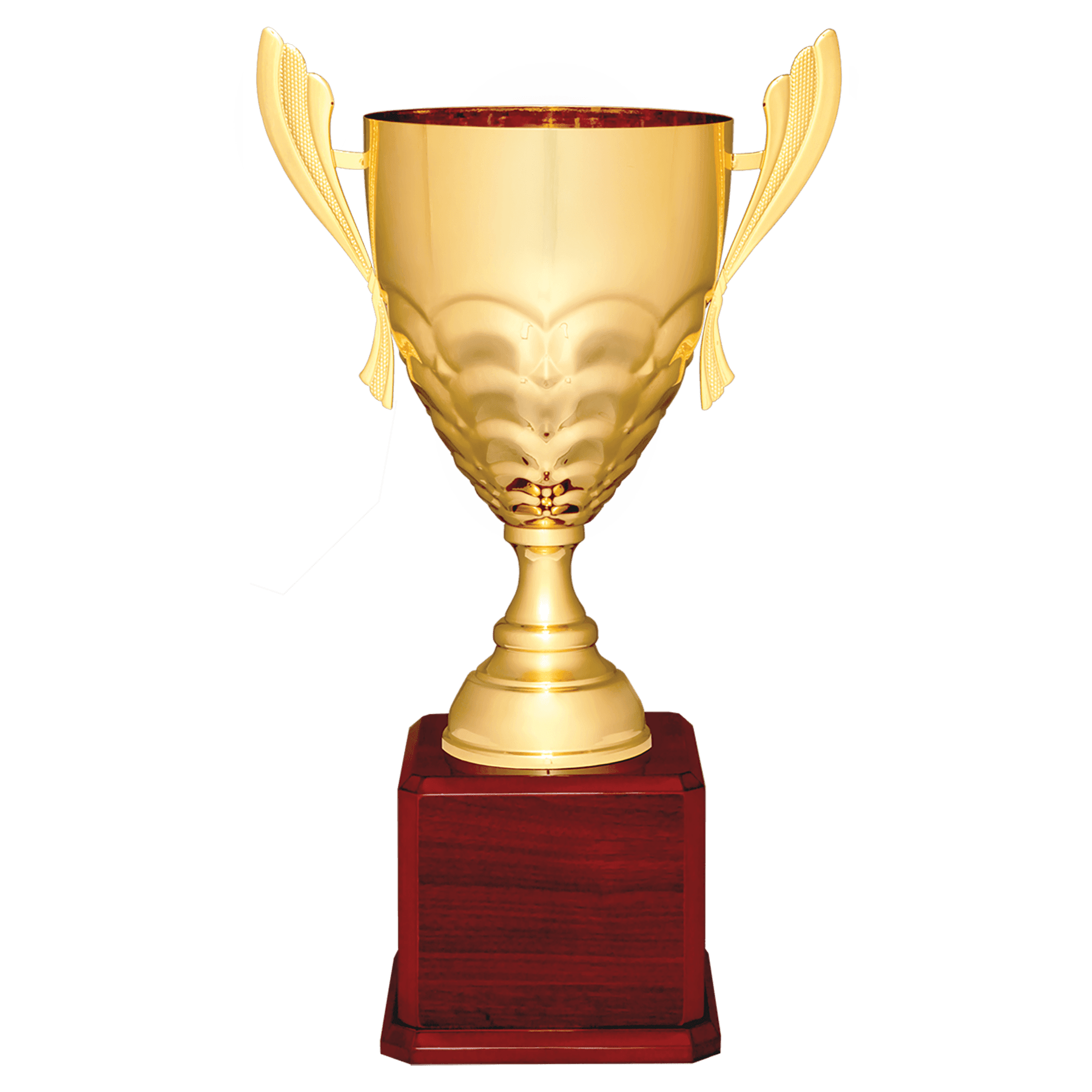 Scalloped Metal Cup Trophy on Royal Piano Finish Base - JDS
