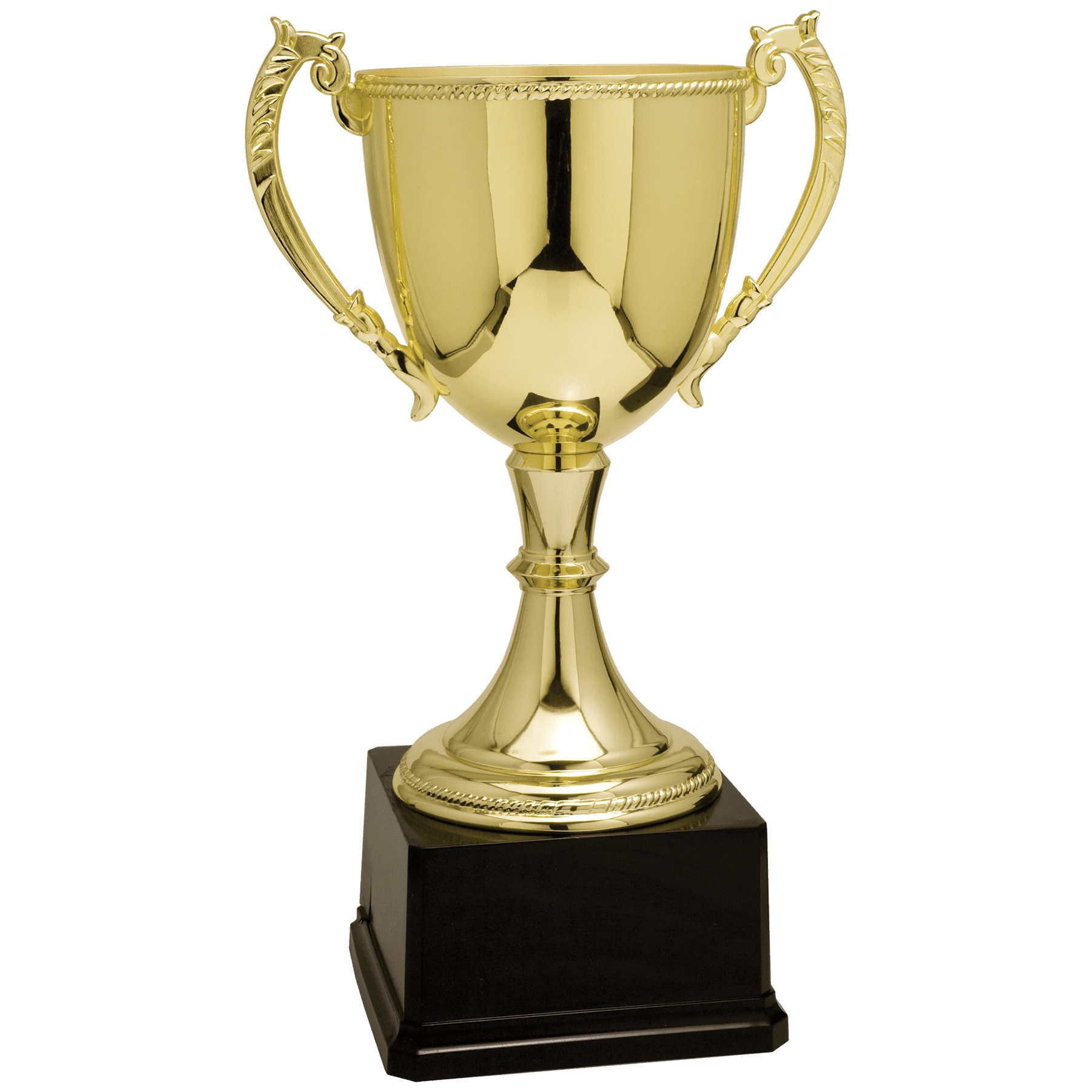 Zinc Cup Trophy - JDS