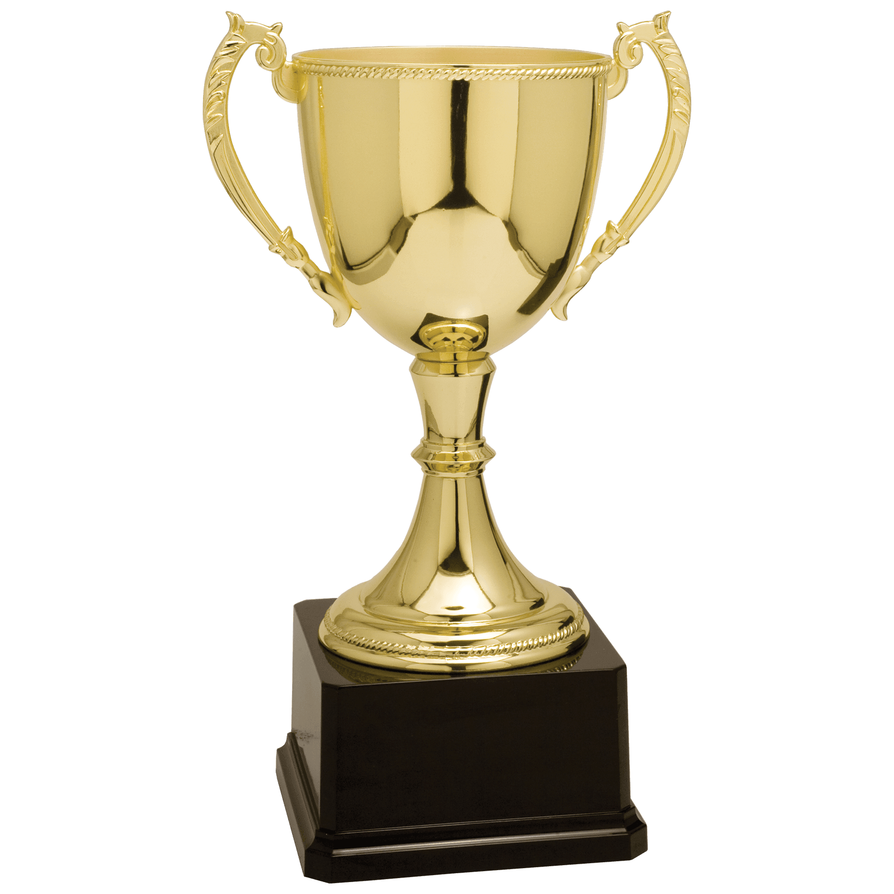 Zinc Cup Trophy - JDS